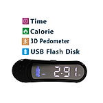 Pedometer USB Flash Drive